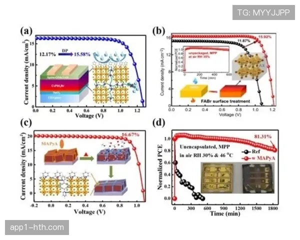 宁波町渥王化东替补席高效输出 衔接段进攻组织缓解一号位压力